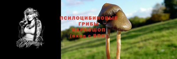 прущий лед Володарск