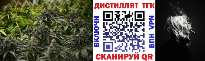 ТГК концентрат  Купить где  Лодейное Поле 