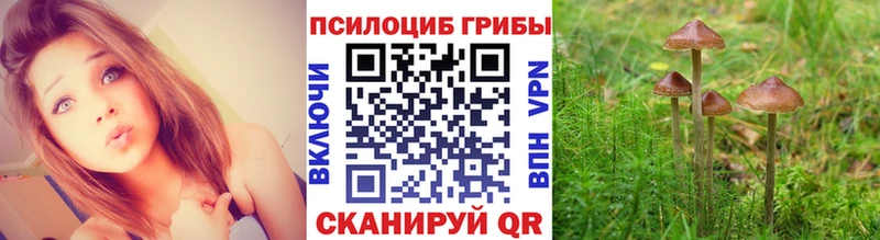 Купить где  Лодейное Поле  Псилоцибиновые грибы мухоморы 