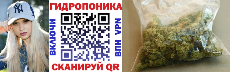 Бошки марихуана индика  Купить закладки  Лодейное Поле 